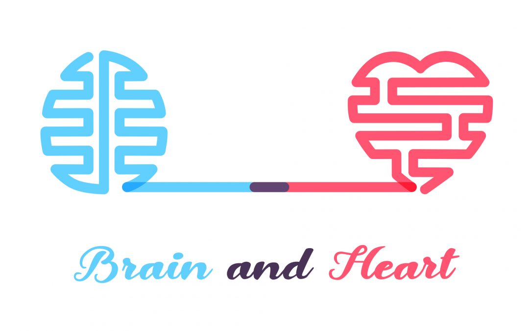 The Heart-Brain Connection